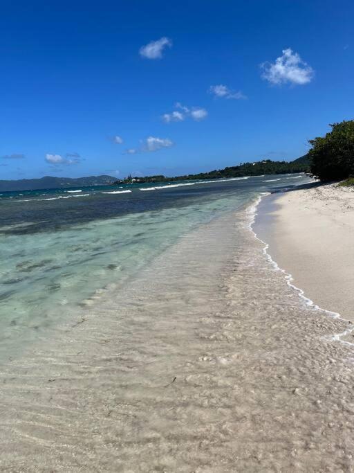 Mid-Century: Caribbean Style Leilighet Contant  Eksteriør bilde