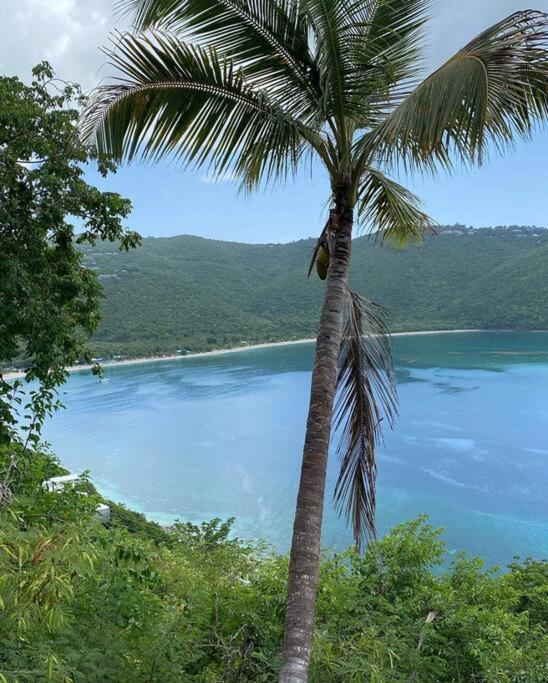 Mid-Century: Caribbean Style Leilighet Contant  Eksteriør bilde