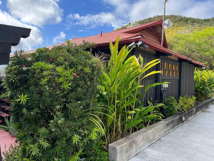 Mid-Century: Caribbean Style Leilighet Contant  Eksteriør bilde